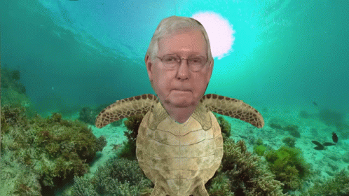 12 AM: Played ‘Pin the Tail on the Turtle.’