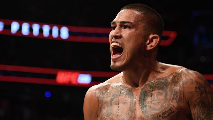 5 Things You Should Know About Anthony Pettis