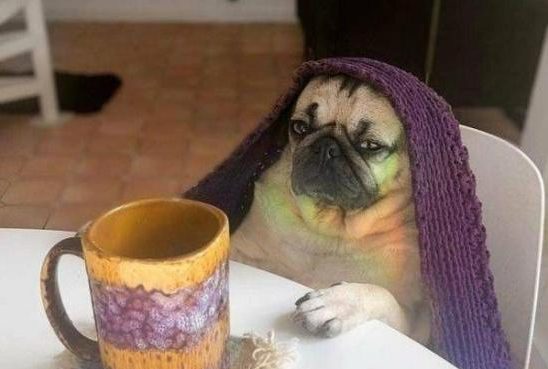 Mandatory Laughs: Today’s Funny Photos For 4-3