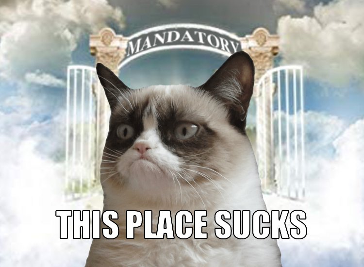 Mandatory Monday Memes: RIP Grumpy Cat