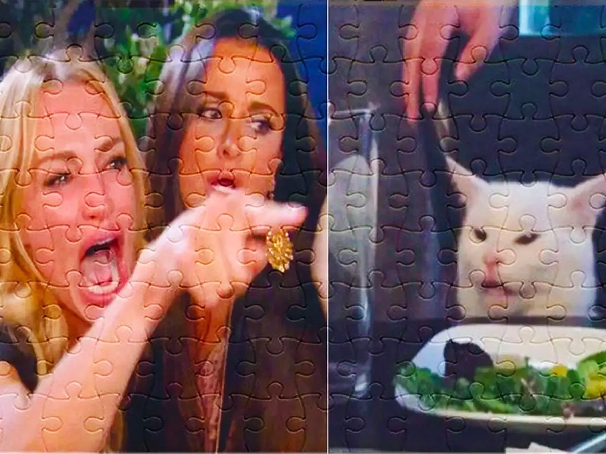 1. Jigsaw Puzzle of Screaming Lady/Cat Meme