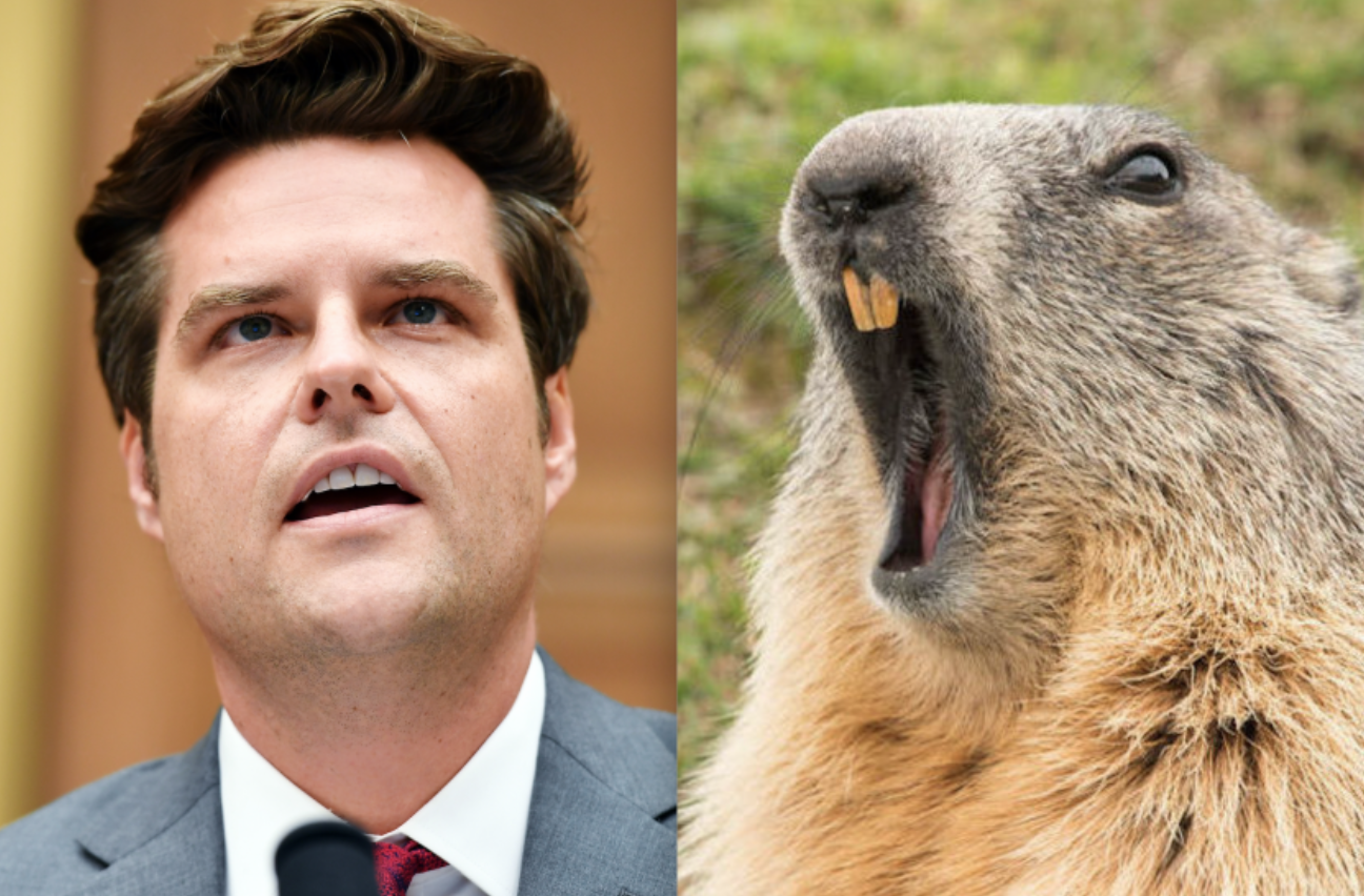 The Matt Gaetz Guide to Acing Your Sexual Misconduct Quiz While Looking Like a Groundhog