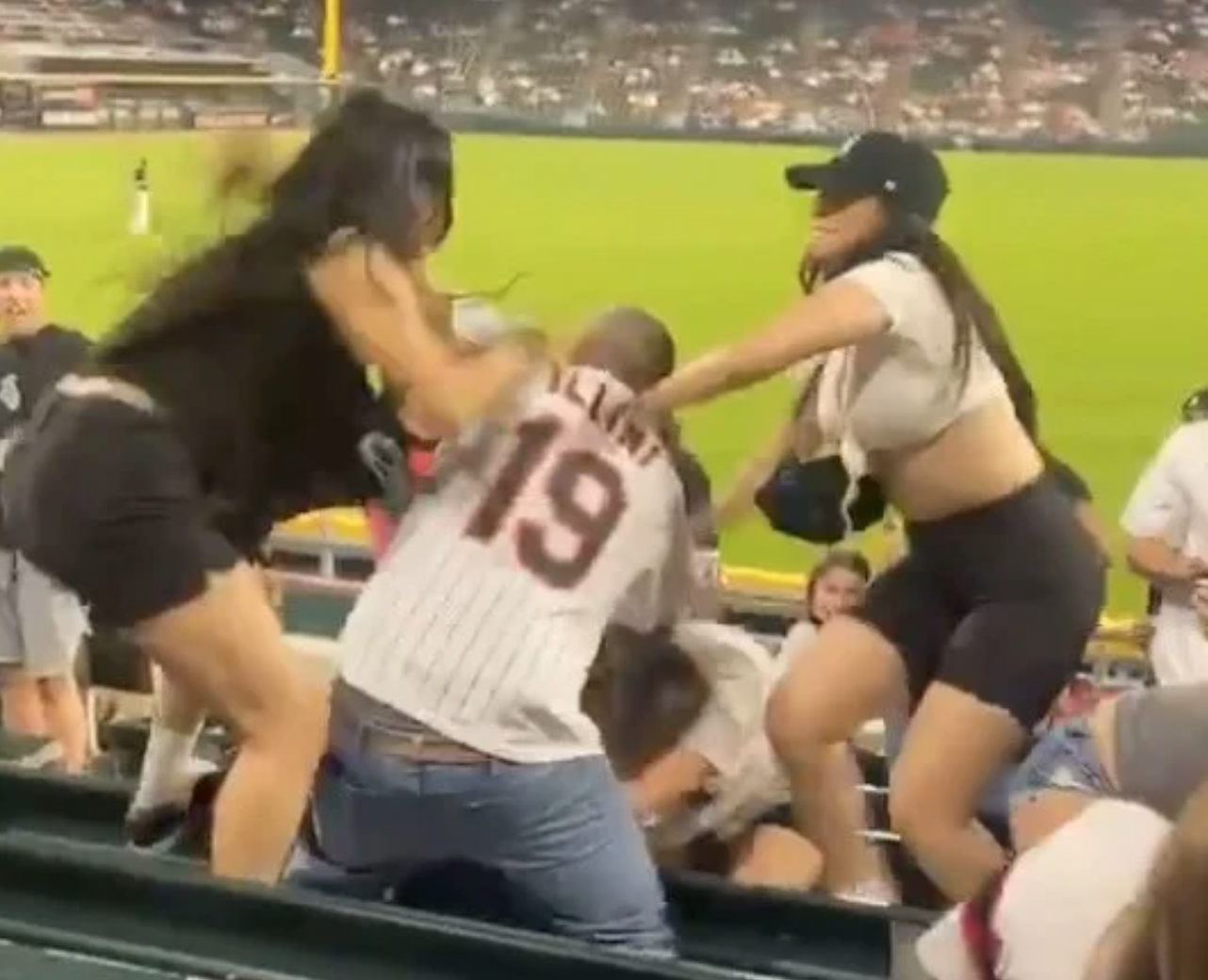 Meanwhile in Chicago: Cat Fight Breaks Out at Wild Sox-Cardinals Game, America’s True Pastime