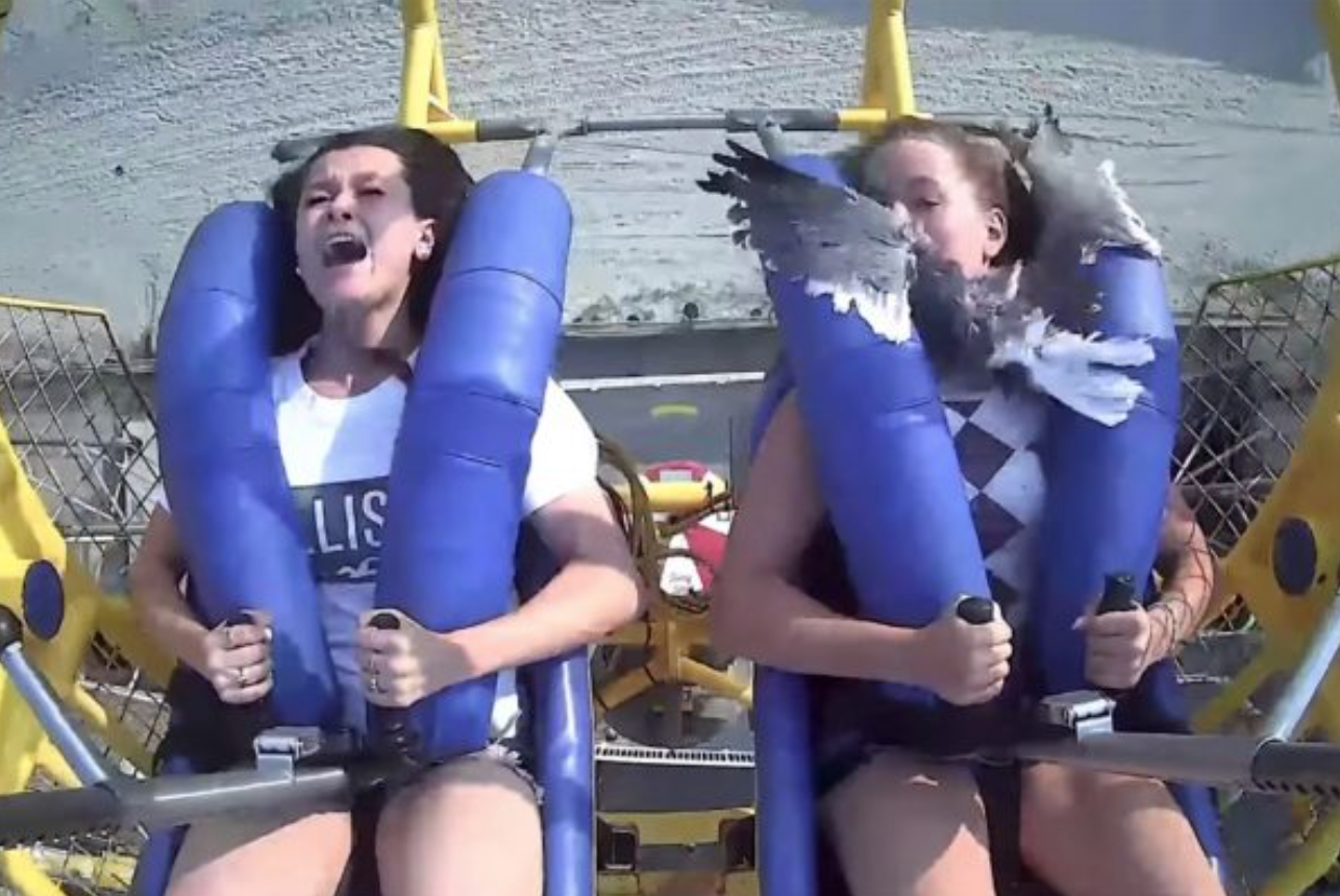 Meanwhile at the Circus: Teen Slapped in Face by Seagull on Amusement Ride Is Worth the Image in Your Mind