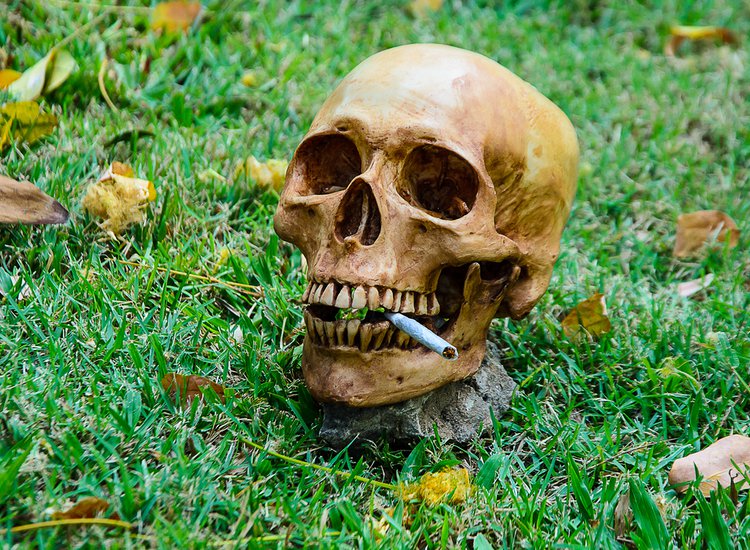 People Smoked Cannabis Back in the Day to Talk to Ghosts