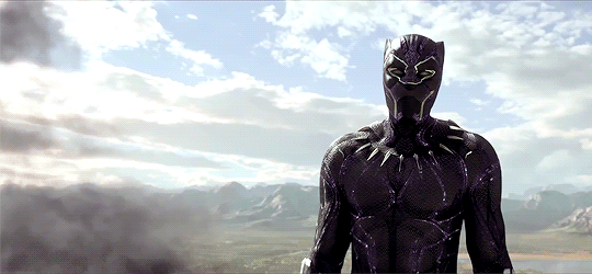 King T’Challa/Black Panther