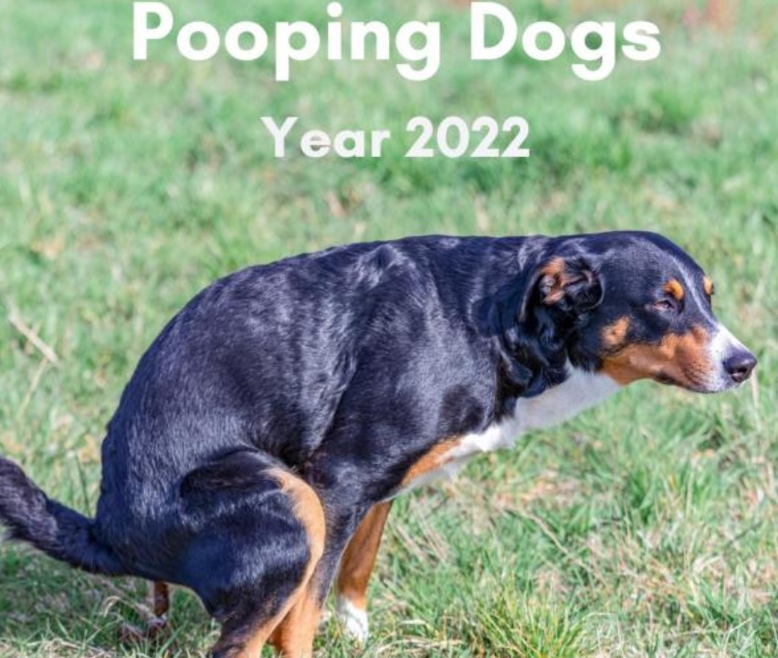 Dogs Pooping 2022 Calendar