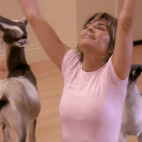 See more goats than people in your yoga class.
